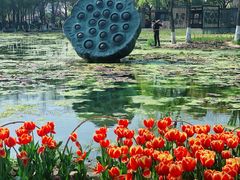 -玄武湖景区-情侣园游乐场