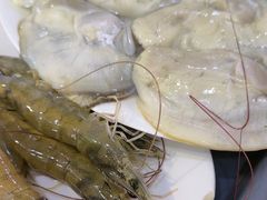 -濠轩阁特色生蚝火锅(水湾路店)