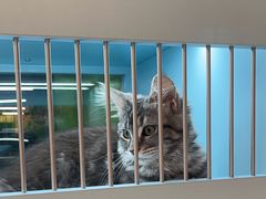 -FAELING PETS美天灵宠物(合生汇店)
