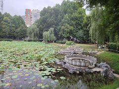 -堤角公园