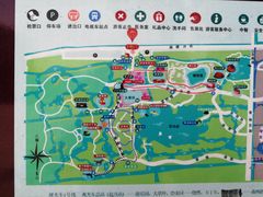 -上海海湾国家森林公园