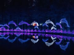 -珠海圆明新园