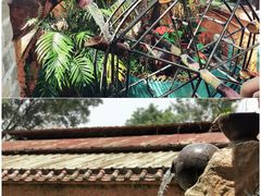 -园林美食城·本土农家菜(杨和镇店)