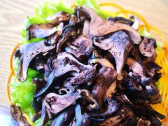 -菌海森林·非遗野生菌火锅(西山区滇池路摩根道店)