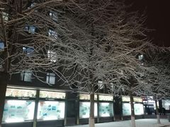 -东北大学(南湖校区)