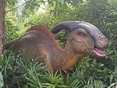 -海南热带野生动植物园