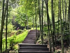 -祁门牯牛降观音堂风景区