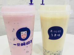 -一只酸奶牛(捞沙巷店)