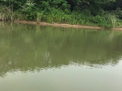 -南湖湿地公园
