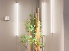 -M Stand(成都COSMO店)