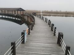 -苏州太湖湖滨国家湿地公园