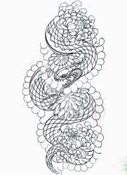 点击看大图 -针牛刺客·刺青纹身