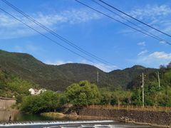 -芦茨金富饭庄·25年老字号·专做稻草鸡