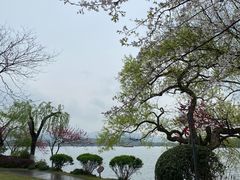 -浙江西子宾馆·牡丹厅