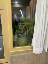 -十六番发型师事务所