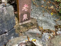 -九龙潭景区