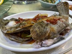 清蒸龙胆鱼-船梆煮•蒸汽海鲜·炉火烤肉(五四广场店)