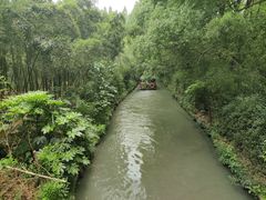 -同里国家湿地公园