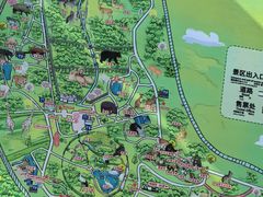 -合肥野生动物园