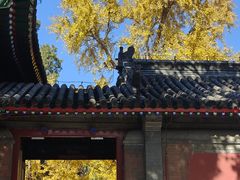 -承恩寺