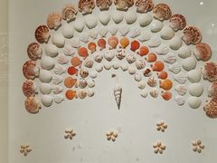 -青岛贝壳博物馆