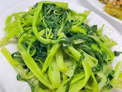 -新陶陶酒家