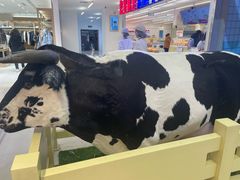 -红星前进面包牛奶公司(君太店)