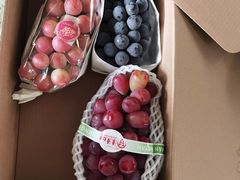 -马陆小张葡萄园农家乐