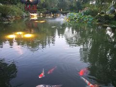 -杭州西湖柳莺里酒店·闻莺厅