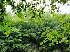 -关门山森林公园