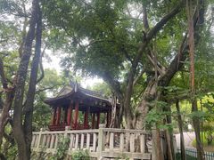 -乌山风景区