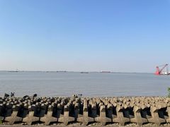 -上海滨江森林公园