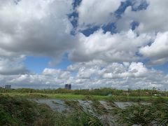 -春花秋色城市公园