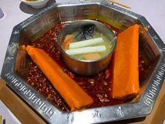-蜀九香火锅(九眼桥店)