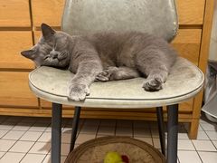 -ID.PHOTO照相馆(嘉里企业中心店)