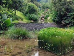 -云溪植物园