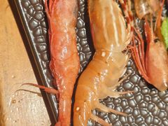 -大渔臻选·棠膳(万象城购物中心店)