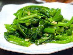 清炒芥兰-东鸽皇(奥园·中环广场店)