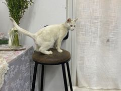 -100家灵感仓库·DIY团建(什刹海店)
