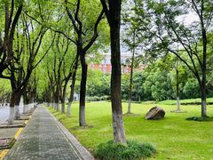 -华东政法大学(松江校区)