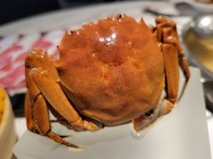 -汤城·料青山