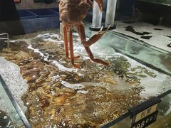 -蟹之国·精品蟹料理(极地店)