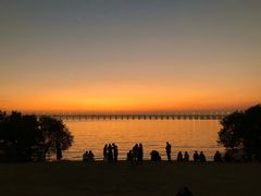 -宝安西湾红树林湿地公园