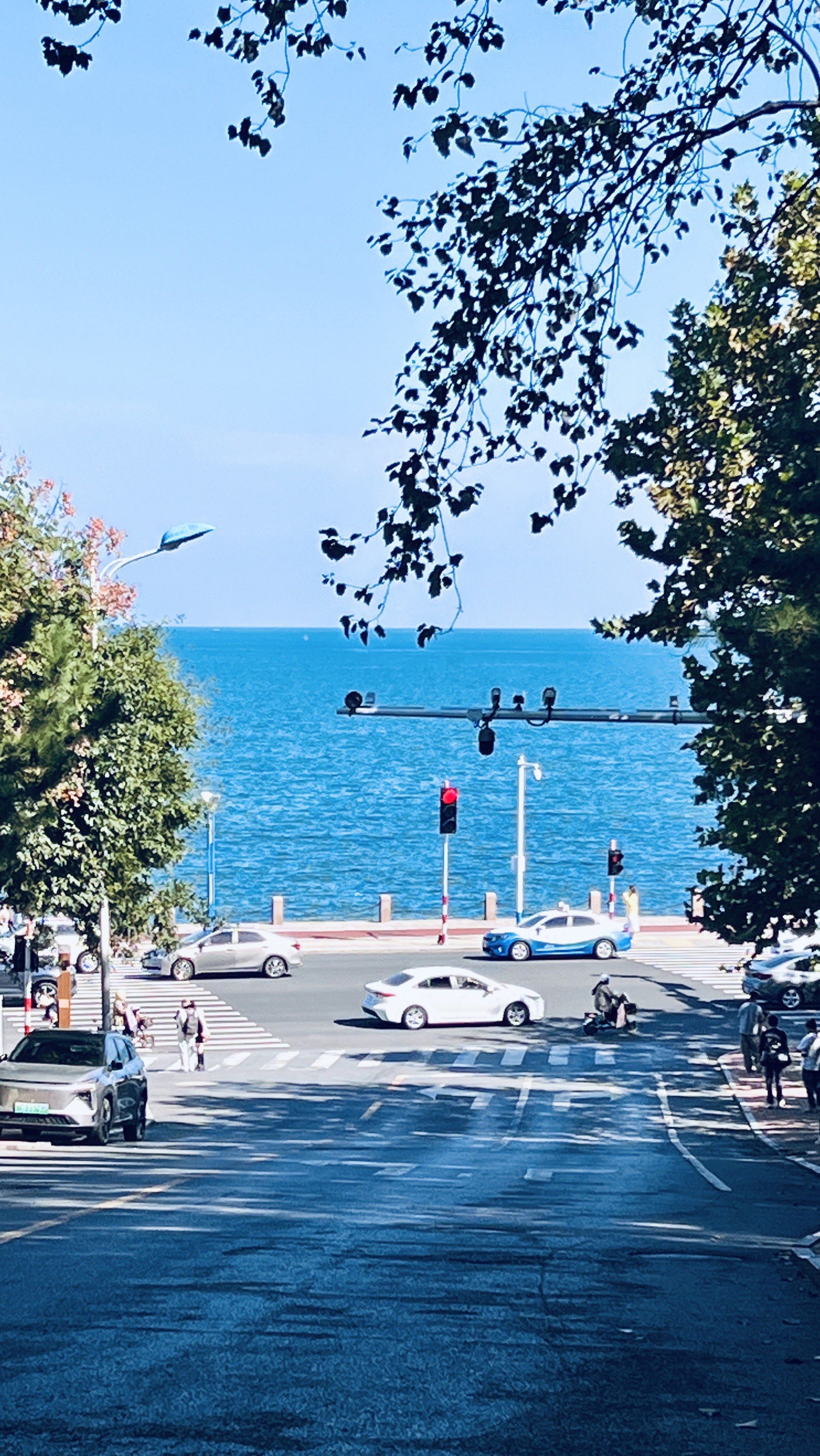 星海中路 小镰仓