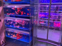 -宝鸡东道花鸟鱼虫市场(吉利花园商场店)