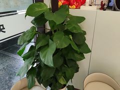 -维乐口腔·埃齐门诊(静安店)