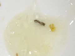 -牛油果大师寿司(瑞景店)