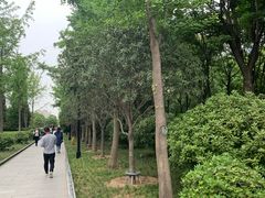 -唐城墙遗址公园