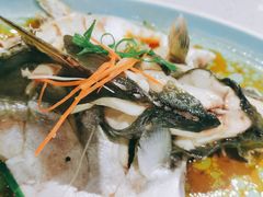 清蒸石斑鱼-锦里海景海鲜餐厅.三亚老字号(亚龙湾中心广场店)