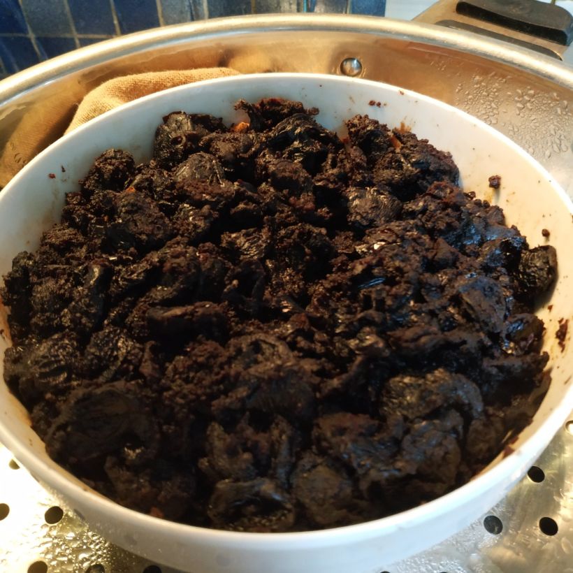 尝了一下今天的桂圆,蒸软的桂圆已经没有桂圆的甜味了,西洋参粉也看不